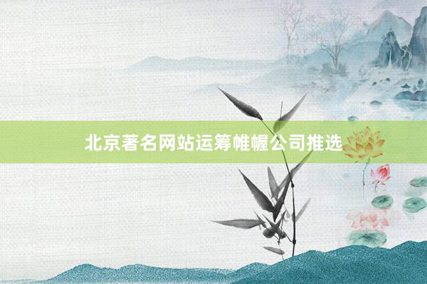 北京著名网站运筹帷幄公司推选