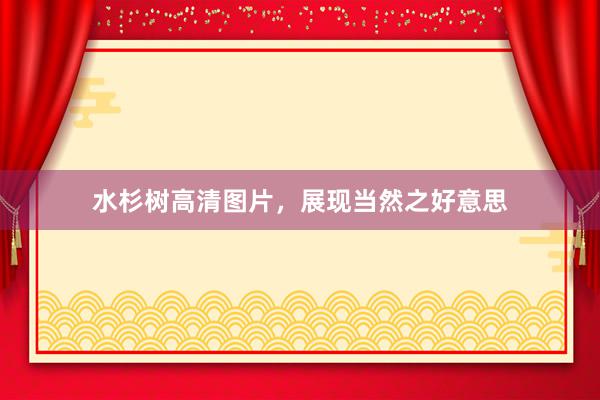 水杉树高清图片，展现当然之好意思