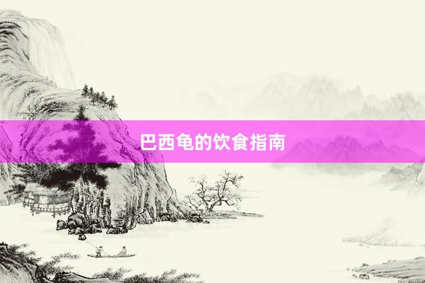 巴西龟的饮食指南